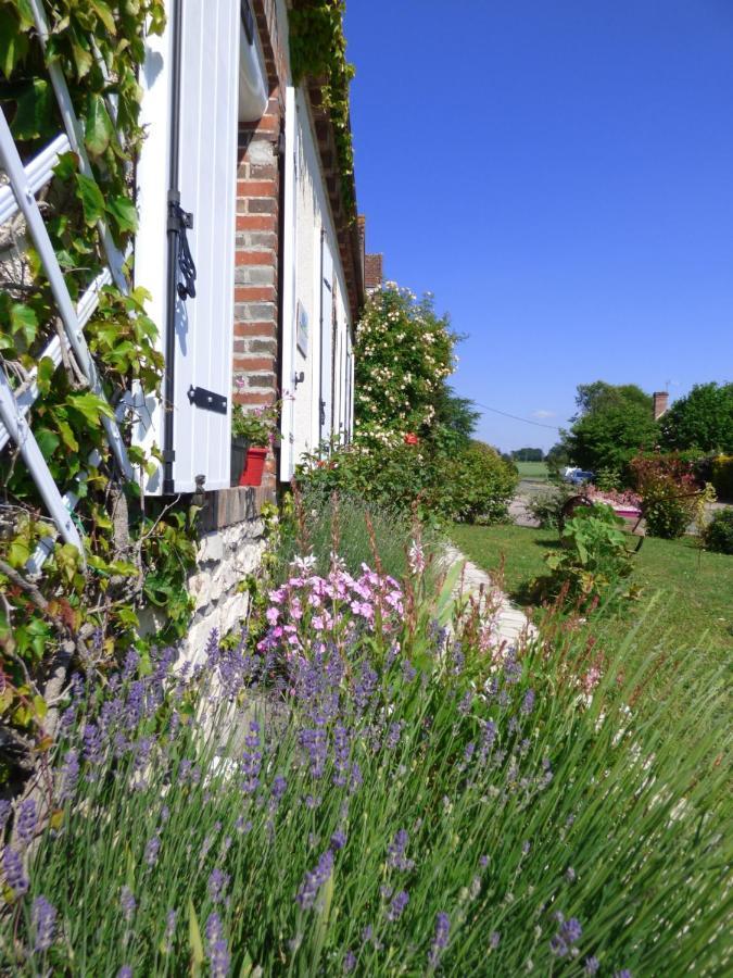 Chambres D'Hotes Les Muscaris Feins-en-Gatinais Exterior photo